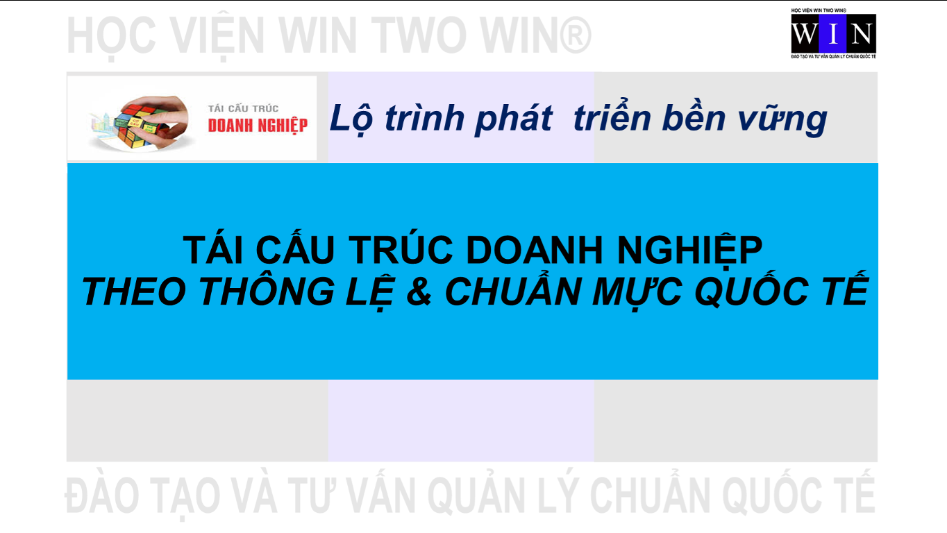 TÁI CẤU TRÚC DOANH NGHIỆP THEO THÔNG LỆ & CHUẨN QUỐC TẾ TÁI CẤU TRÚC DOANH NGHIỆP THEO THÔNG LỆ & CHUẨN QUỐC TẾ